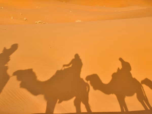 Naher Osten und Nordafrika + Südostasien und Pazifik